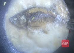 鲫鱼菌菇汤的做法图解7