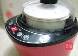 桂圆牛奶炖鱼胶的做法图解2