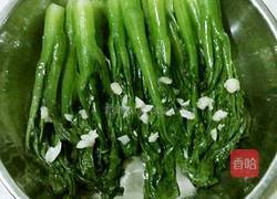 蒜蓉菜芯的做法图解5