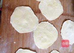 苋菜猪肉水饺的做法图解7