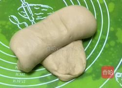 奶香小餐包的做法图解6