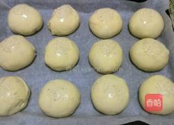 奶香小餐包的做法图解13