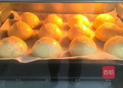 奶香小餐包的做法图解14
