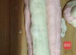 巧克力双色吐司的做法图解8