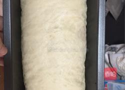 巧克力双色吐司的做法图解11