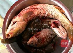 铁锅炖野生鱼的做法图解1