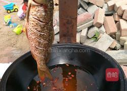 铁锅炖野生鱼的做法图解7