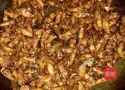 干煲雄蚕蛾的做法图解5