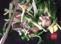 白菜煮鱼的做法图解5