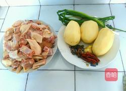 土豆烧鸭的做法图解1
