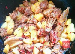 土豆烧鸭的做法图解9