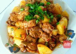 土豆烧鸭的做法图解13