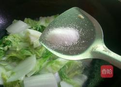 清炒白菜的做法图解6