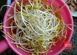 猪大肠炒豆芽的做法图解3