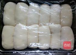 火腿肠椰蓉吐司面包（面粉版）的做法图解9