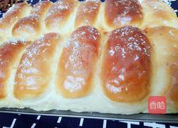 火腿肠椰蓉吐司面包（面粉版）的做法图解11