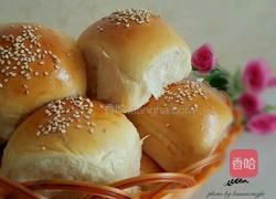 小餐包（一次发酵）的做法图解8