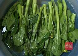 蒜蓉油菜心的做法图解1