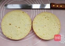 樱花慕斯蛋糕的做法图解13