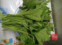 白灼南瓜苗的做法图解1