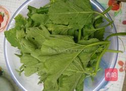 白灼南瓜苗的做法图解3