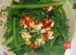 白灼南瓜苗的做法图解6