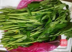 白灼空心菜的做法图解1