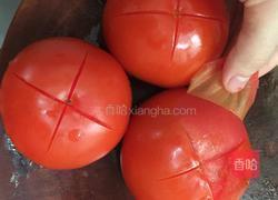 西红柿炖牛腿筋的做法图解5