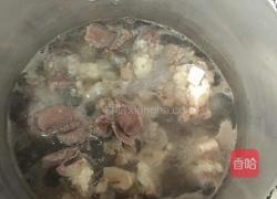 西红柿炖牛腿筋的做法图解8