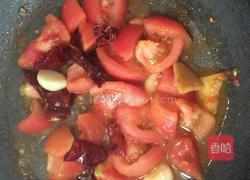 西红柿炖牛腿筋的做法图解12