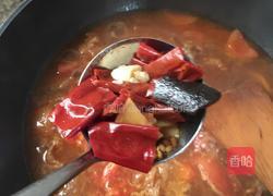 西红柿炖牛腿筋的做法图解16