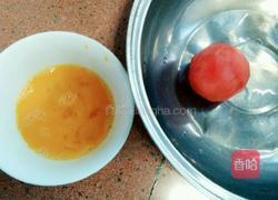 番茄蛋汤的做法图解2