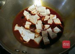 麻辣豆腐的做法图解8