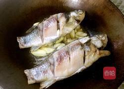 鲫鱼白玉汤的做法图解7