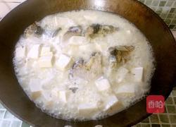 鲫鱼白玉汤的做法图解10