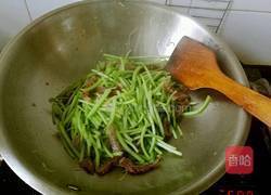 干炒红薯藤的做法图解3