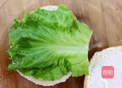 Illustration of how to make beef burgers 8