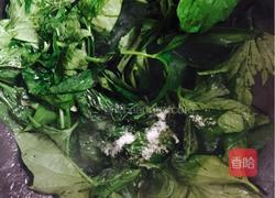 蒜香红薯叶的做法图解4