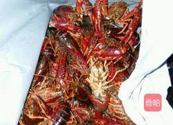 红烧老龙虾的做法图解1
