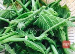 煮鸡纵菌的做法图解3