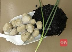 紫菜肉丸汤的做法图解1