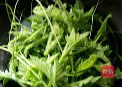 拌南瓜尖的做法图解3