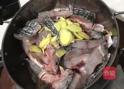 酸辣鱼的做法图解3