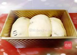 蔓越莓牛奶吐司的做法图解12