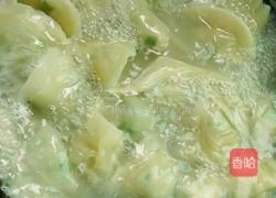 韭菜猪肉饺子的做法图解8