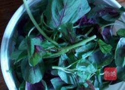 清炒红苋菜的做法图解2