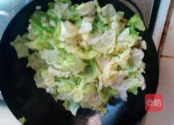 炝炒圆白菜的做法图解5