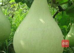 青黄椒炒葫芦娃的做法图解1