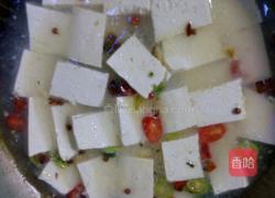 炖豆腐的做法图解4