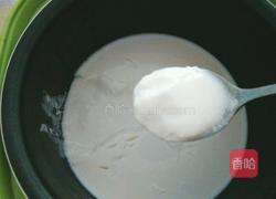 自制火龙果酸奶的做法图解5